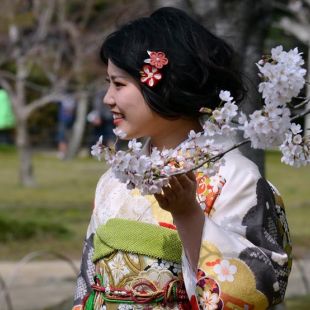 Asien | Japan - Individualreisen - Reisebürro Dresden