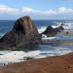 Washington & Oregon - USA, Nord-Amerika - Individuell reisen weltweit